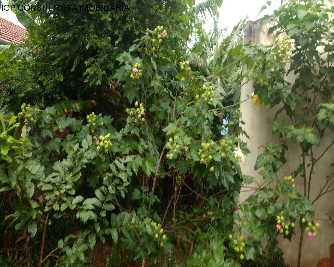 CASA em JARDIM MORADA DO SOL, INDAIATUBA - CASA - INDAIATUBA - Foto 5