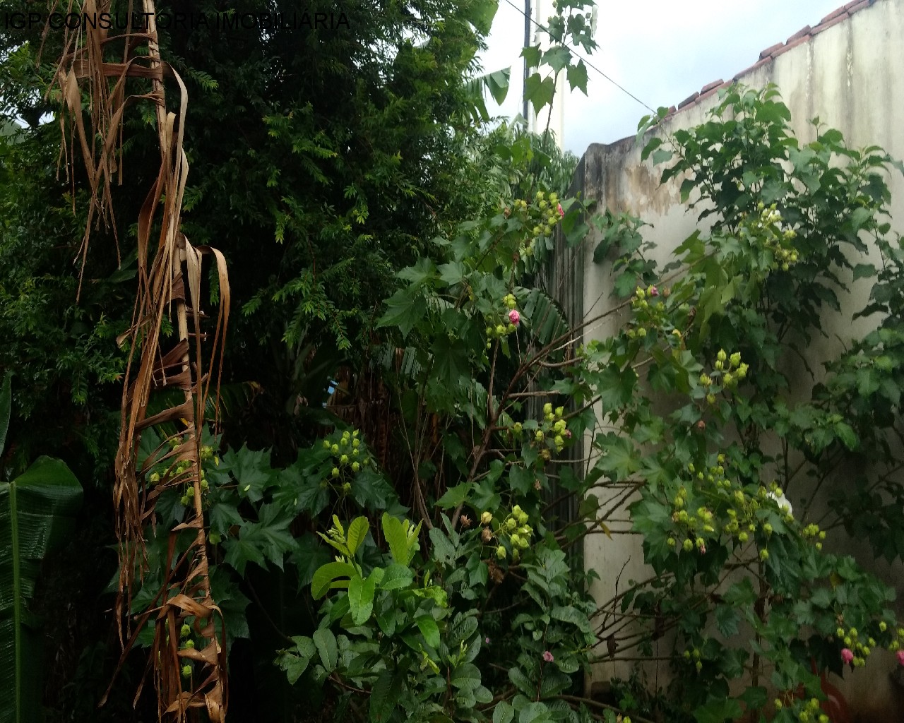 CASA em JARDIM MORADA DO SOL, INDAIATUBA - CASA - INDAIATUBA - Foto 8