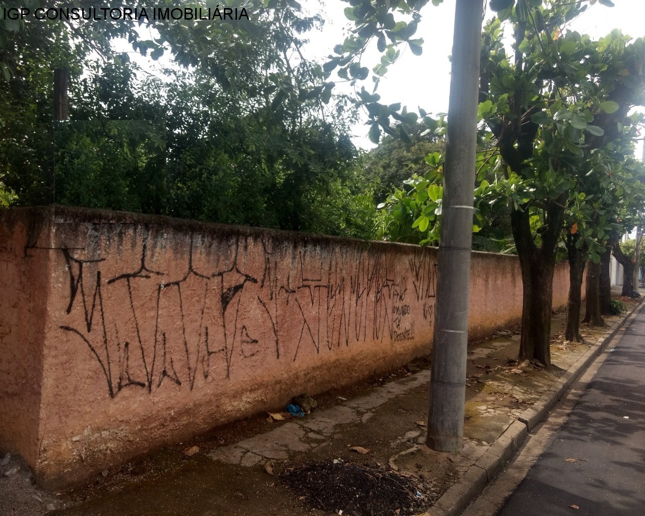 TERRENO em VILA GEORGINA, INDAIATUBA - Foto 5