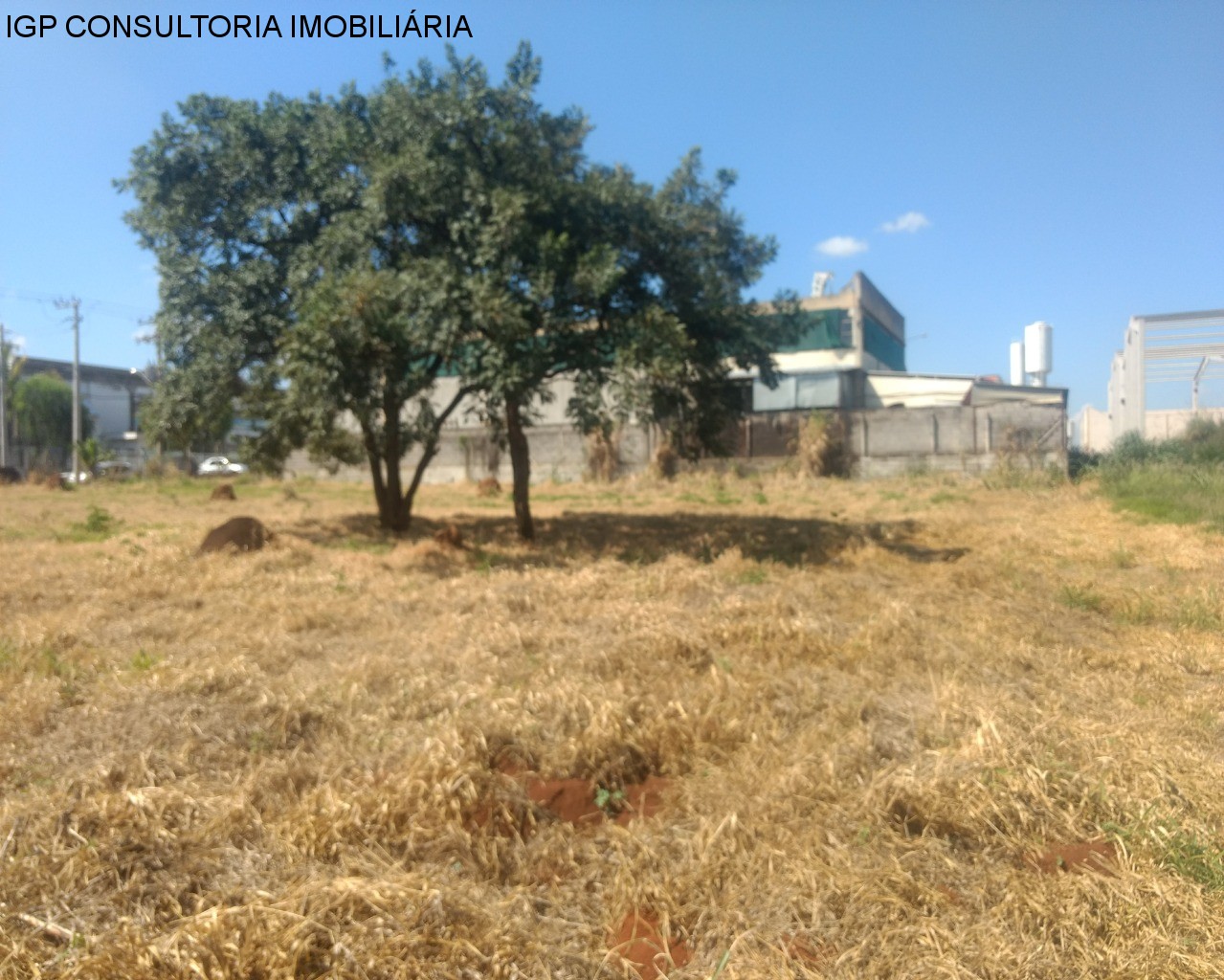 TERRENO em DISTRITO INDUSTRIAL JOÃO NAREZZI, INDAIATUBA - Foto 10