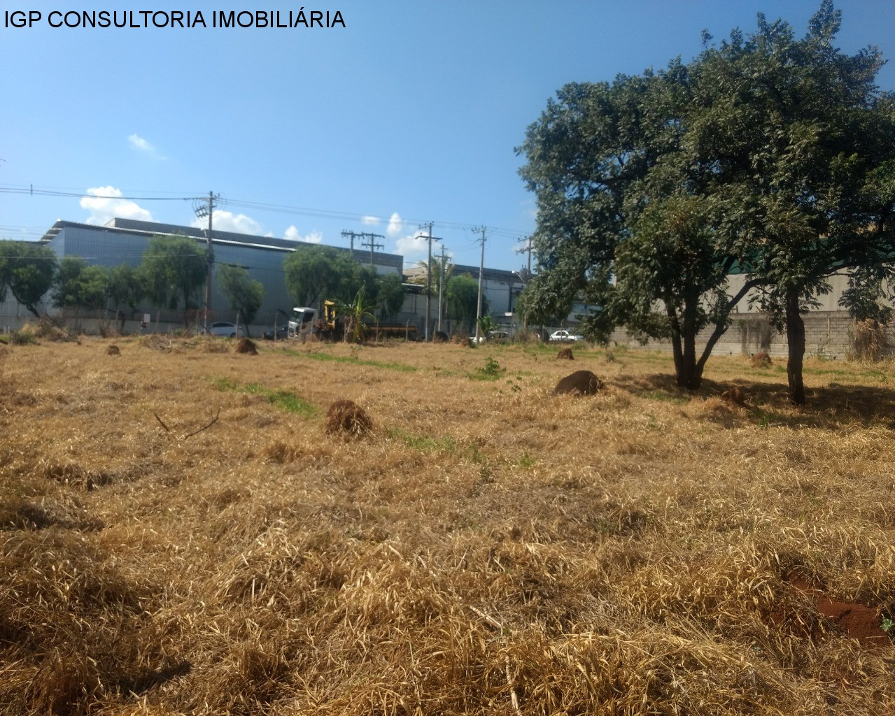 TERRENO em DISTRITO INDUSTRIAL JOÃO NAREZZI, INDAIATUBA - Foto 4