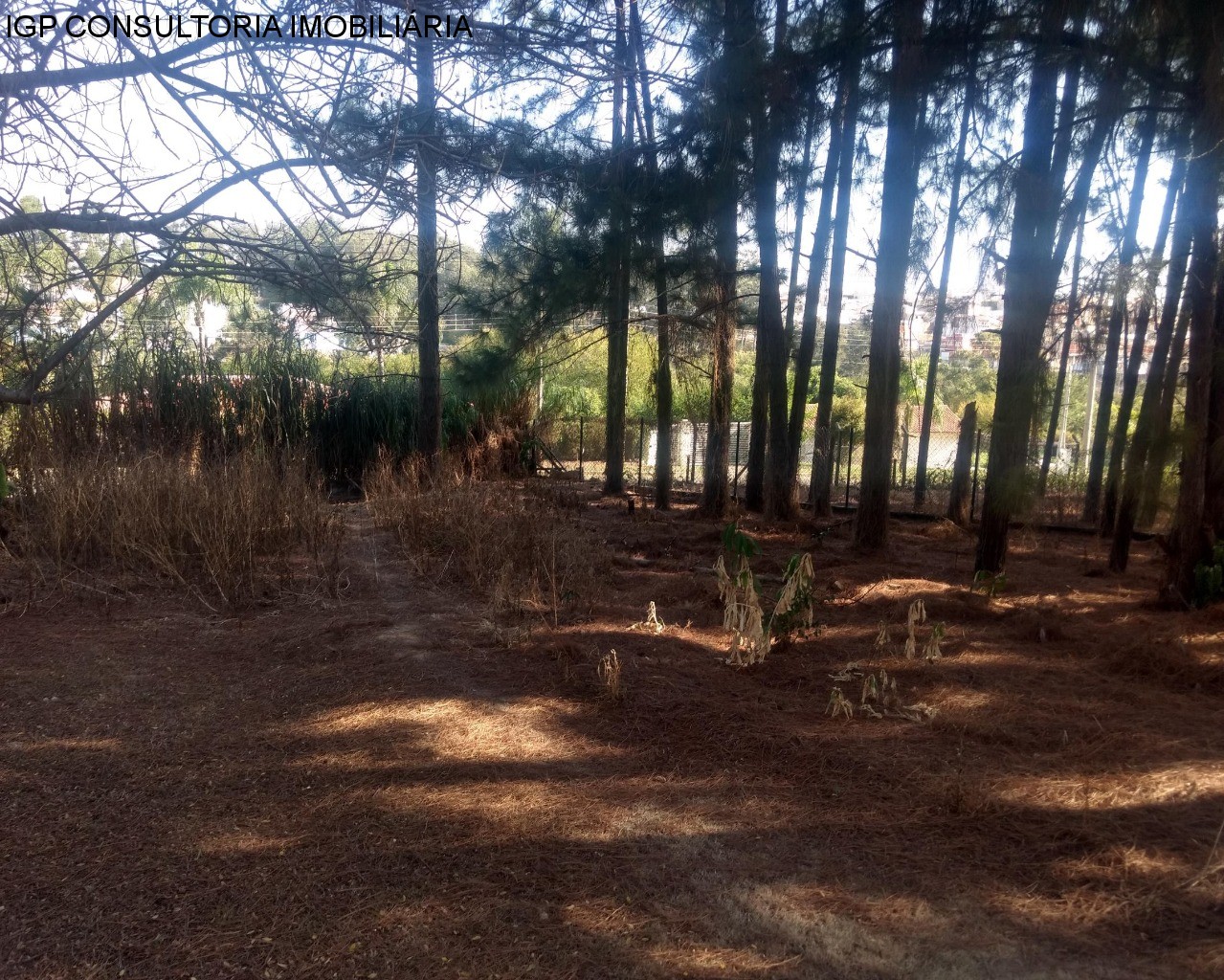 TERRENO em LAGOS DE SHANADU, INDAIATUBA - Terreno para Venda Lagos de Shanadu, Indaiatuba - Foto 6
