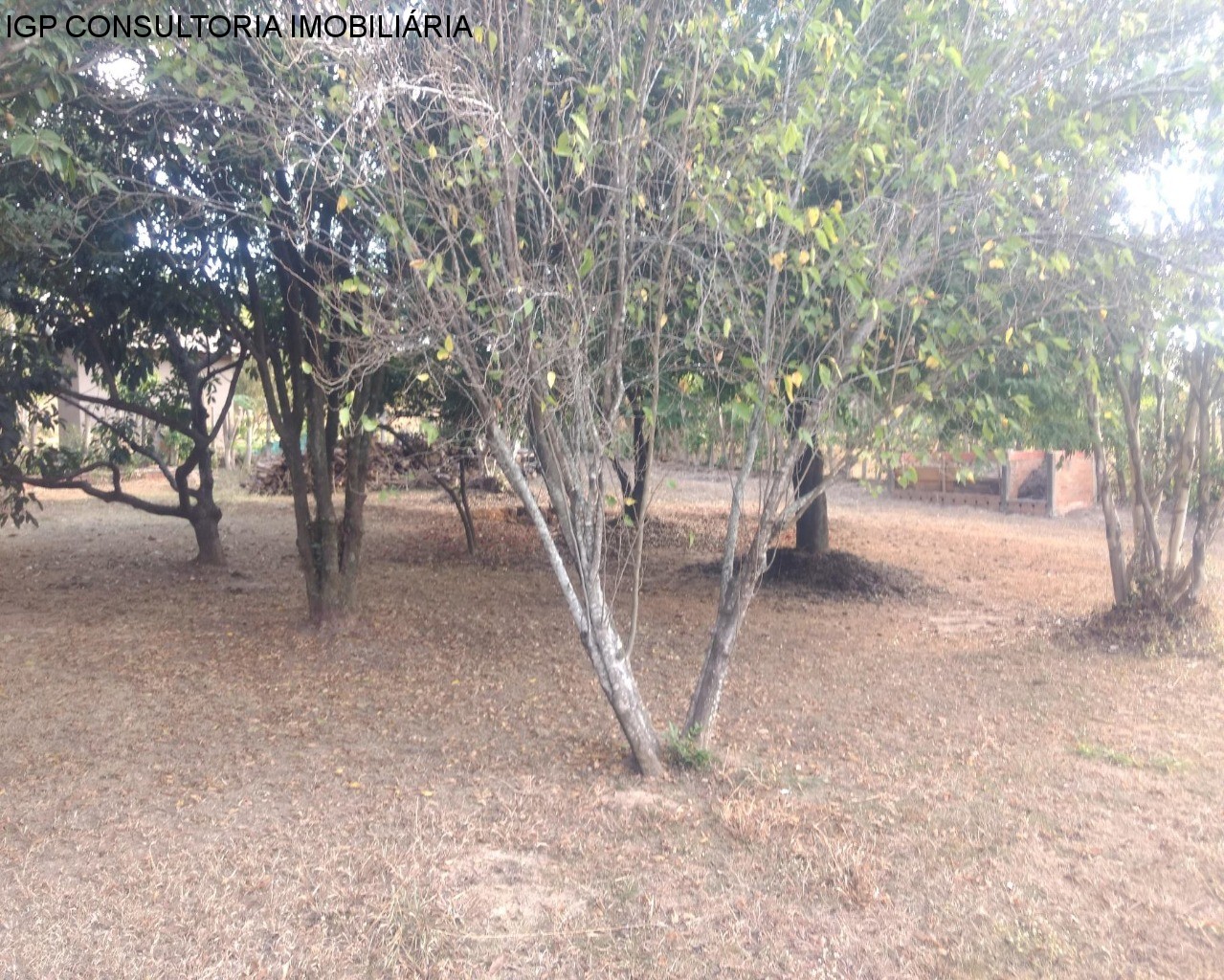 CHÁCARA em LAGOS DE SHANADU, INDAIATUBA - Chacara para Venda  Lagos de Shanadu, Indaiatuba - Foto 6