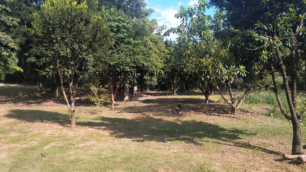 Sítio, 3 quartos, 900 m² - Foto 7