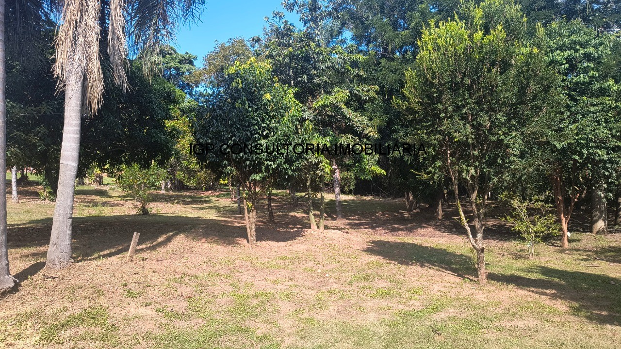 Sítio, 3 quartos, 900 m² - Foto 8