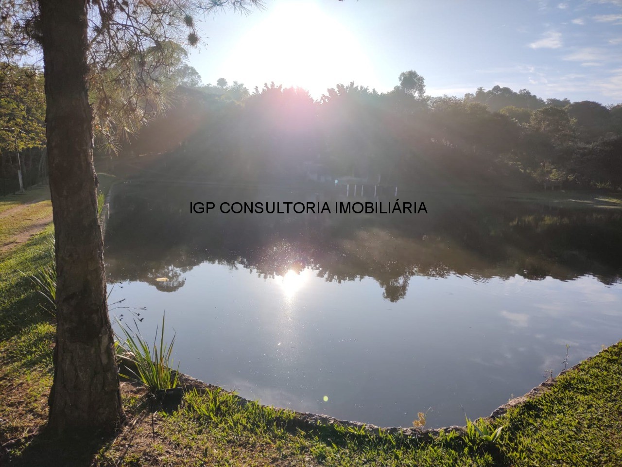Sítio à venda em Indaiatuba-SP, bairro Pedregulho: 3 quartos, 1 suíte, 1 sala, 4 banheiros, 20.000m² de área!