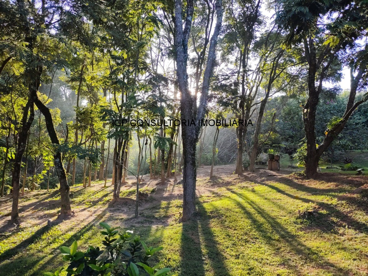 Sítio à venda em indaiatuba-sp, bairro pedregulho: 3 quartos