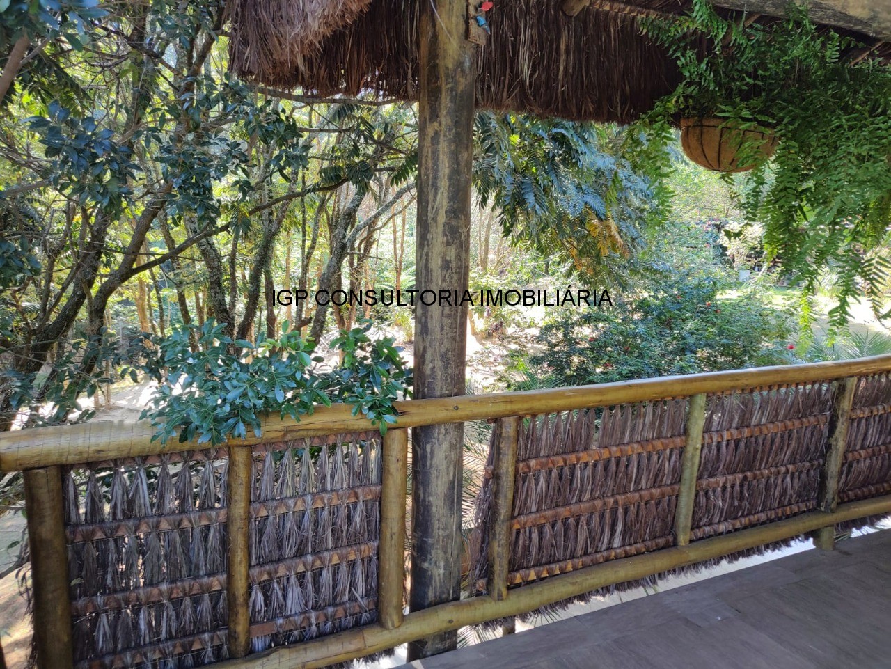 Sítio à venda em Indaiatuba-SP, bairro Pedregulho: 3 quartos, 1 suíte, 1 sala, 4 banheiros, 20.000m² de área!
