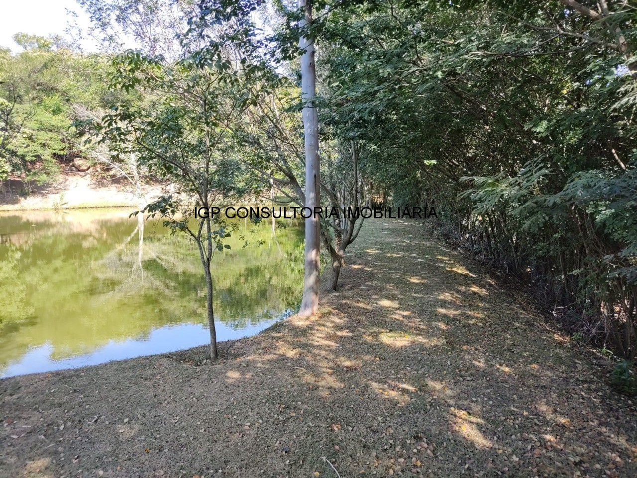 Sítio à venda em Indaiatuba-SP, bairro Pedregulho: 3 quartos, 1 suíte, 1 sala, 4 banheiros, 20.000m² de área!