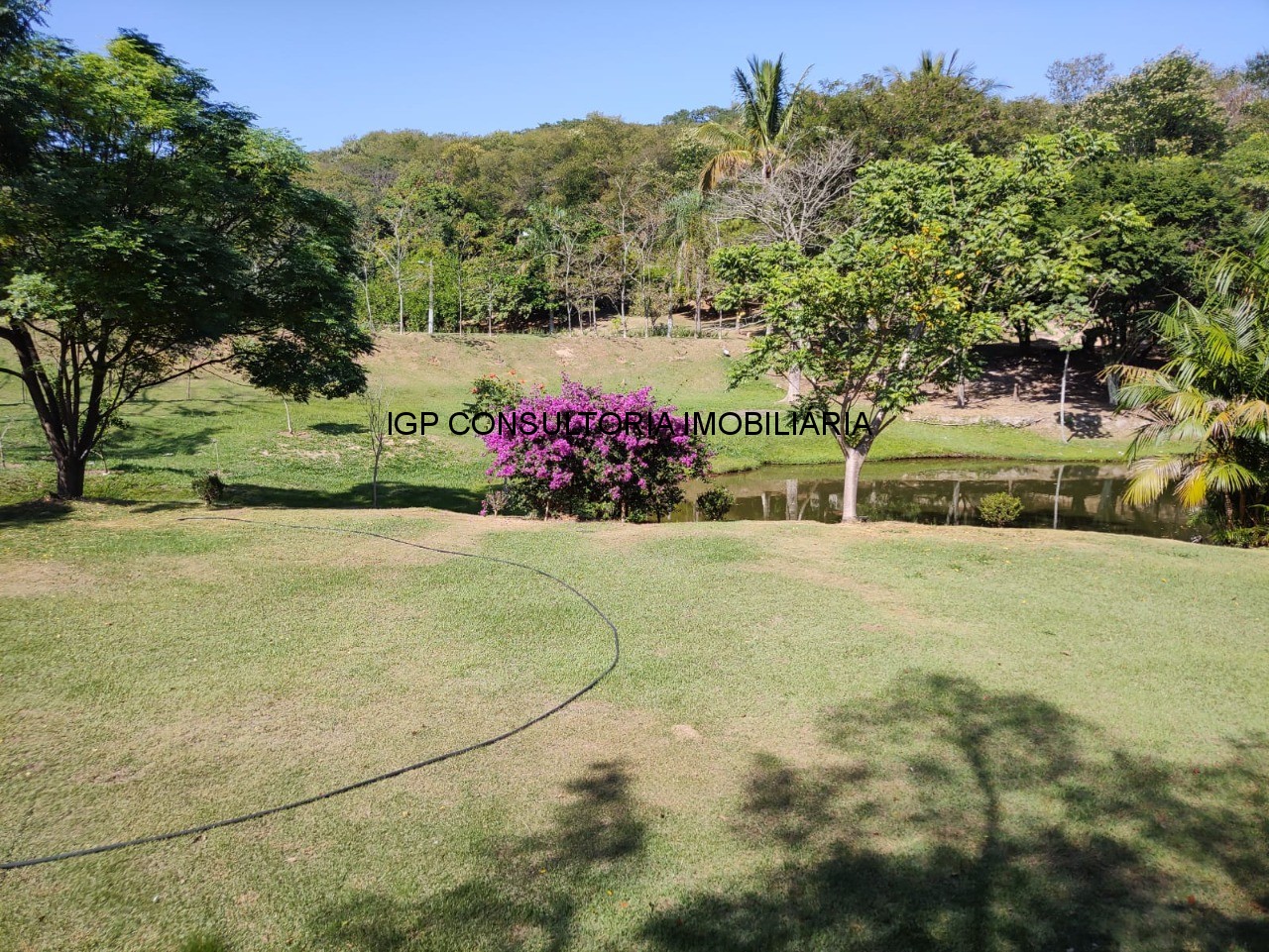 Sítio à venda em Indaiatuba-SP, bairro Pedregulho: 3 quartos, 1 suíte, 1 sala, 4 banheiros, 20.000m² de área!