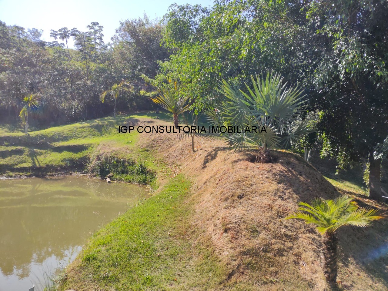 Sítio à venda em Indaiatuba-SP, bairro Pedregulho: 3 quartos, 1 suíte, 1 sala, 4 banheiros, 20.000m² de área!