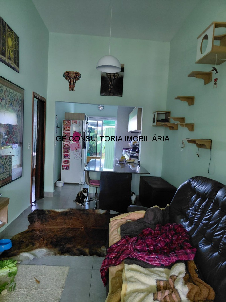 Casa, 3 quartos, 84 m² - Foto 4