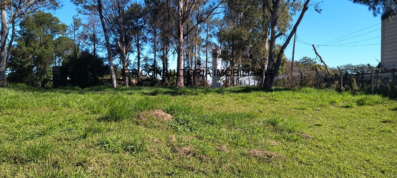 Depósito-Galpão, 3549 m² - Foto 39