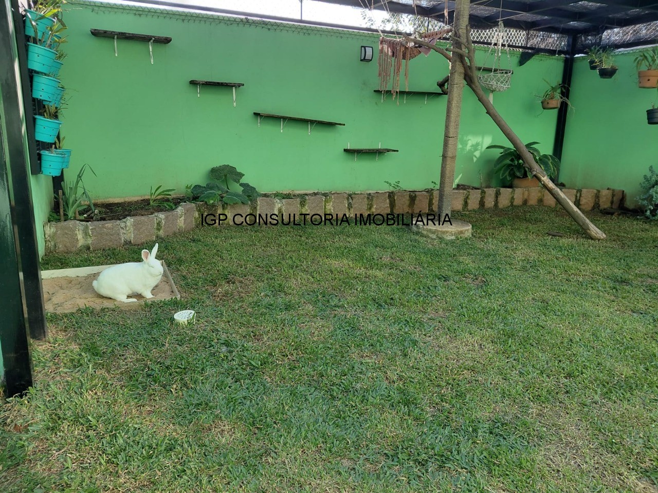 Casa, 3 quartos, 84 m² - Foto 16