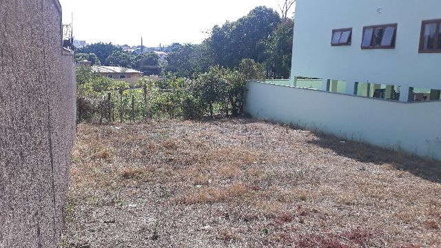 Terreno, 303 m² - Foto 4