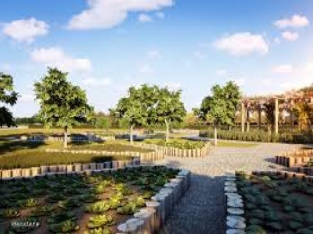 Terreno, 510 m² - Foto 7