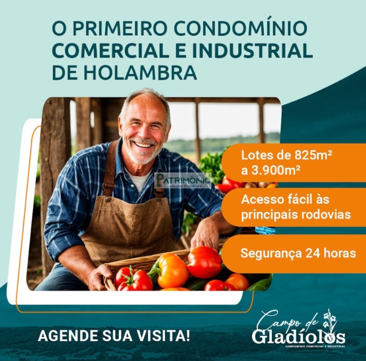 Loteamento e Condomínio, 1000 m² - Foto 1