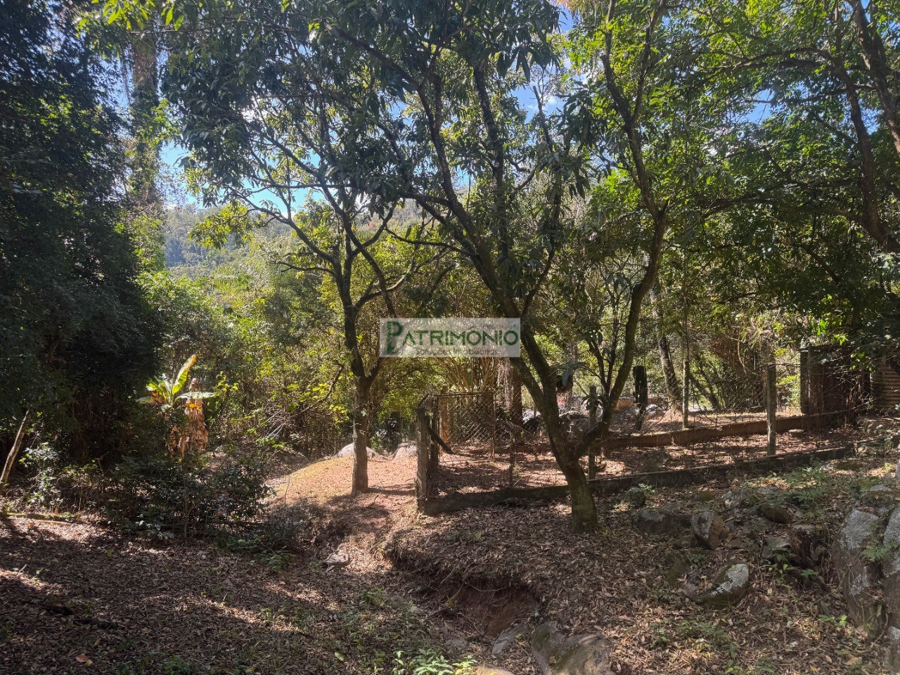 Chácara, 3 quartos - Foto 14
