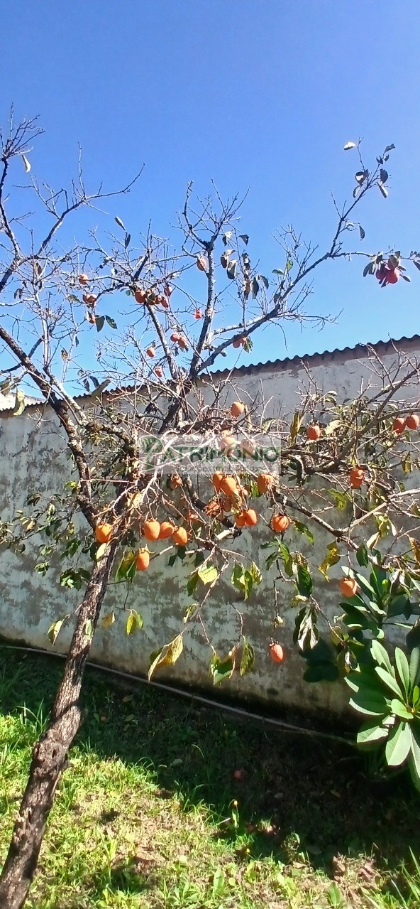 Chácara, 2 quartos - Foto 27