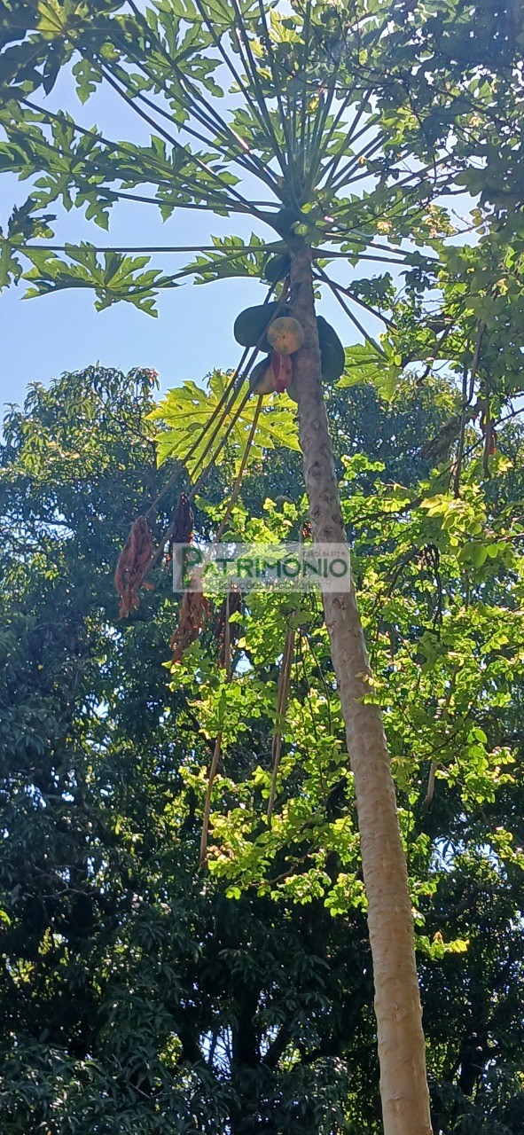 Chácara, 2 quartos - Foto 43