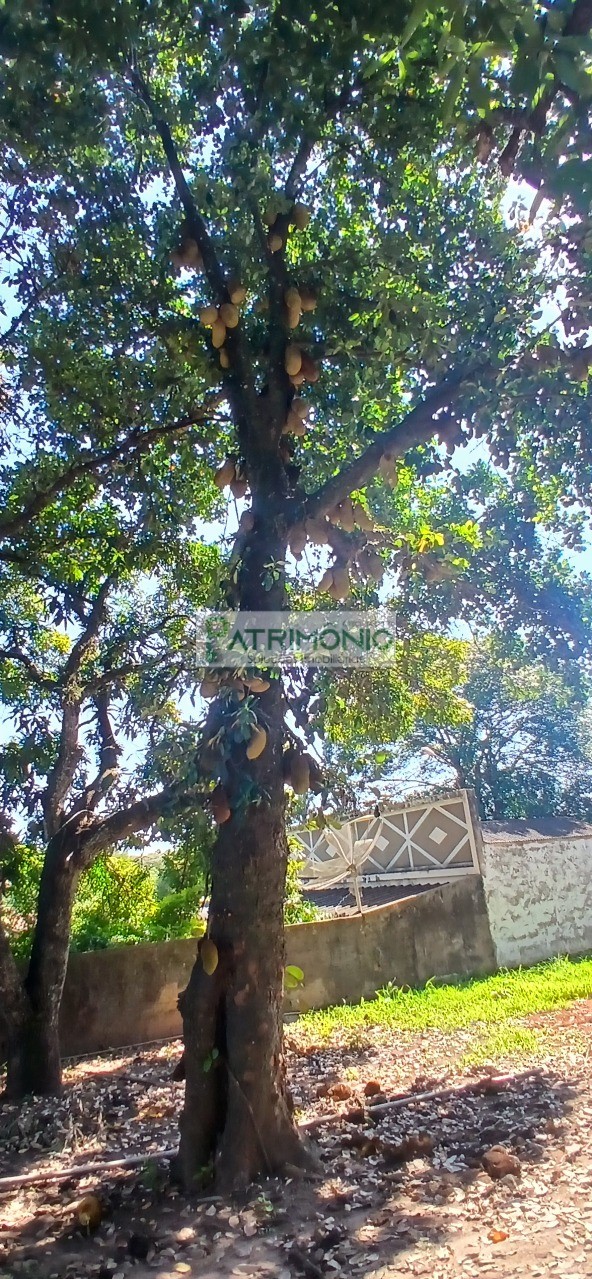 Chácara, 2 quartos - Foto 28