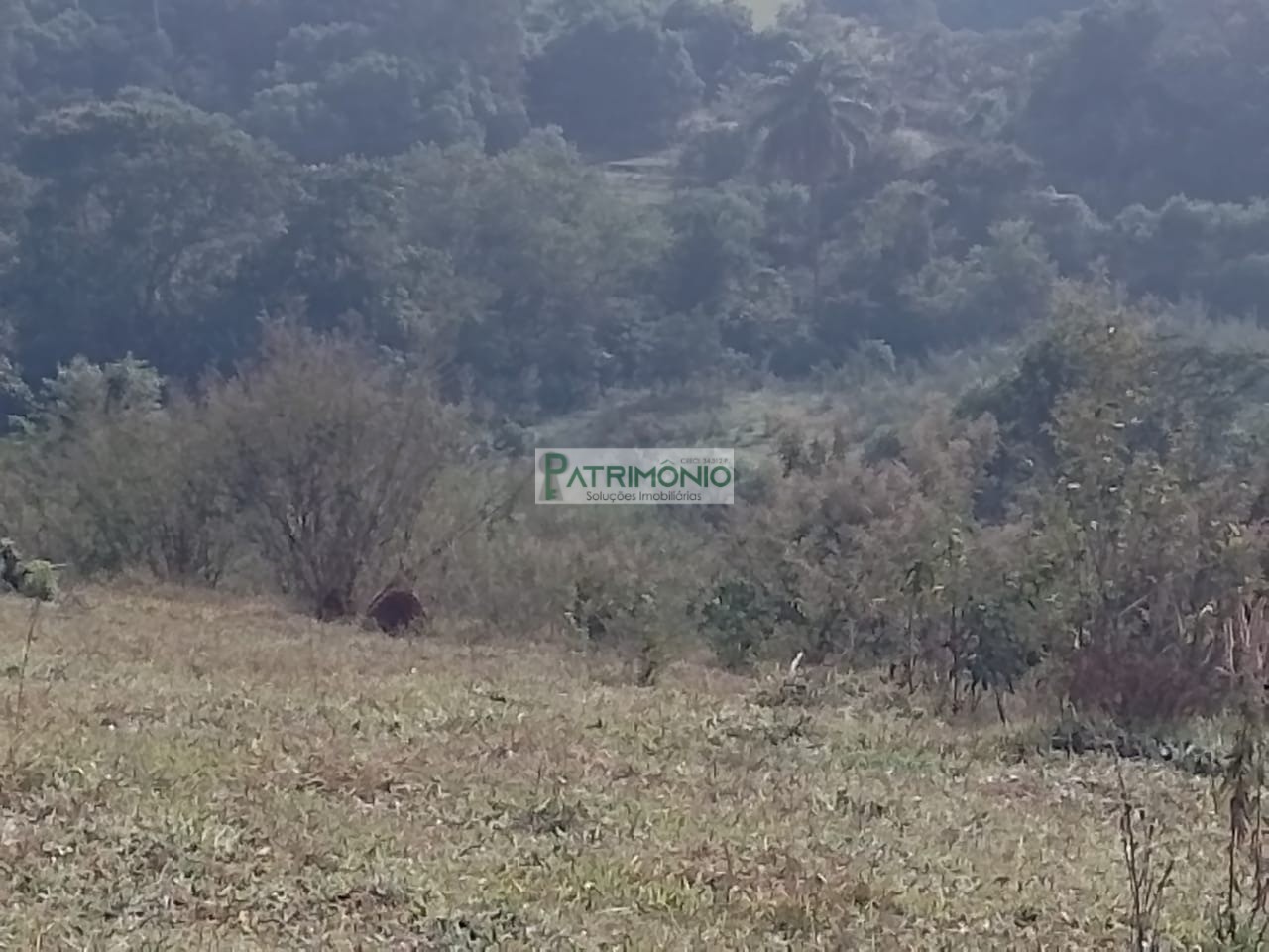 Área de 292 Mil m² à Venda em Pedreira/SP Investimento e Incorporação