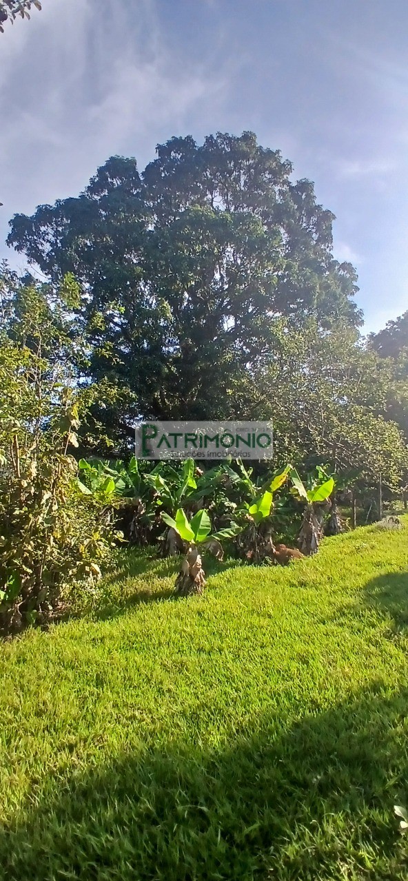 Chácara, 4 quartos - Foto 17