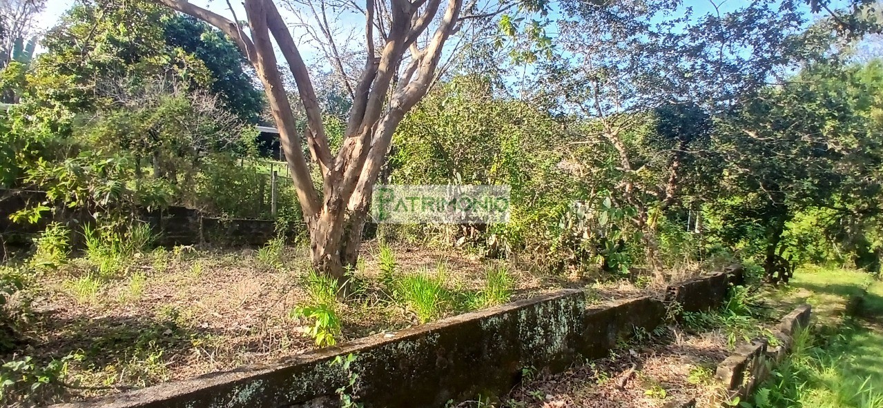Chácara, 4 quartos - Foto 15