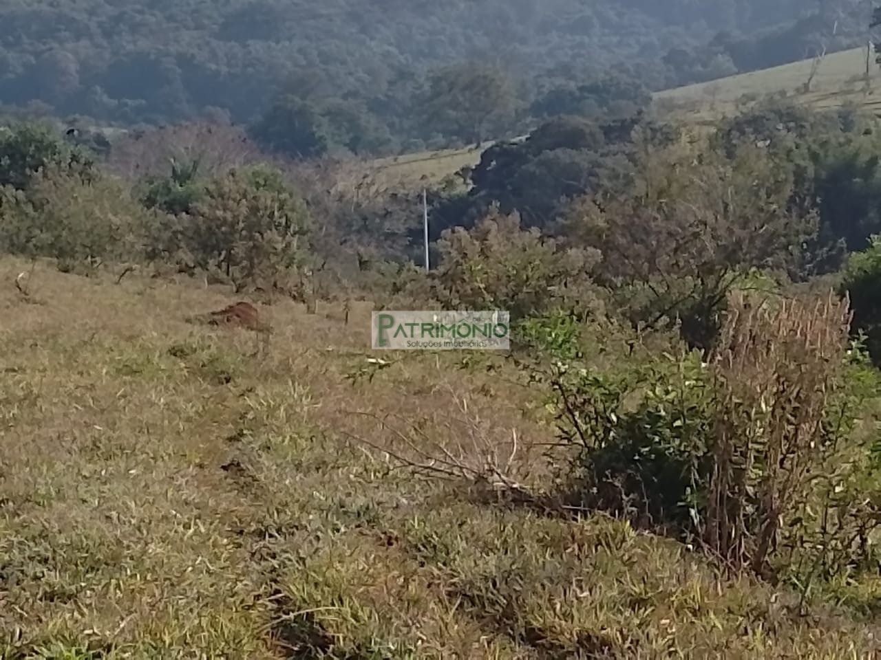 Área de 292 mil m² à venda em pedreira/sp investimento e inc