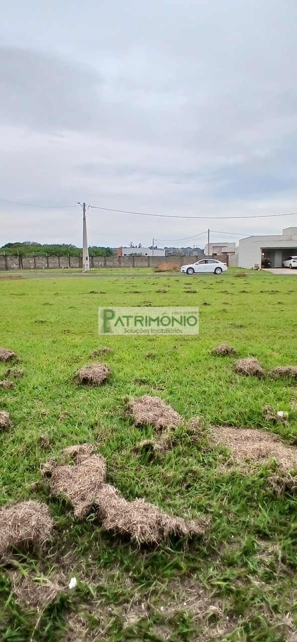 Terreno, 250 m² - Foto 4