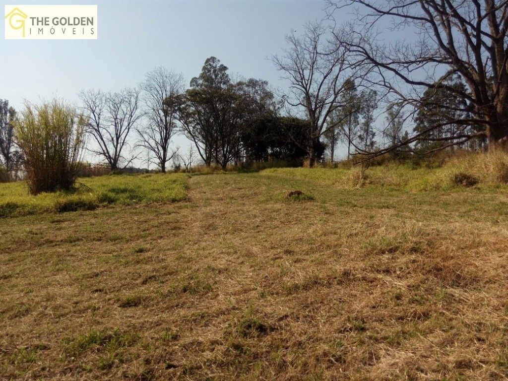 Sítio, 4 quartos, 6 hectares - Foto 6
