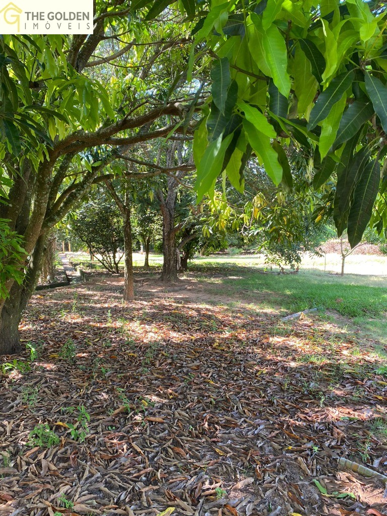 Sítio, 2 quartos, 1500 m² - Foto 18