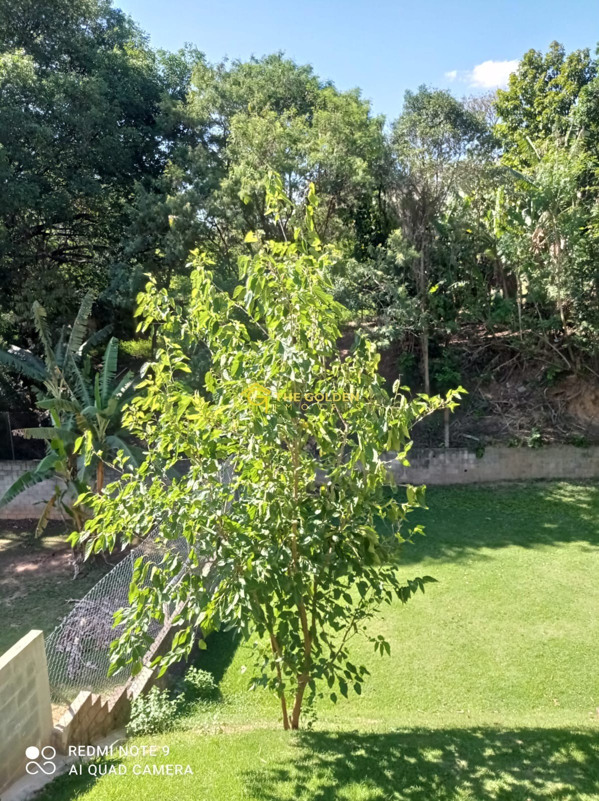 Chácara, 3 quartos, 2000 m² - Foto 17