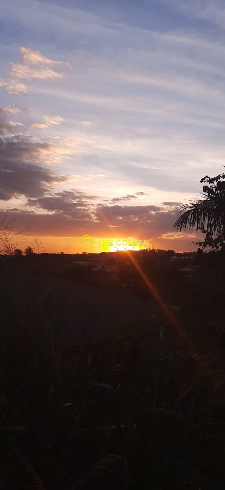 Terreno, 1449 m² - Foto 3