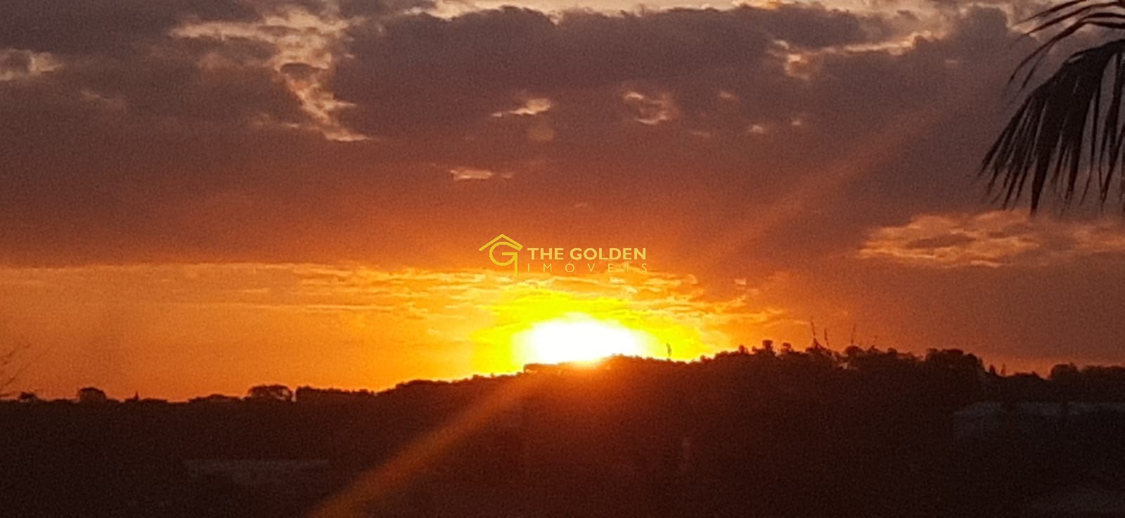 Terreno, 1449 m² - Foto 4