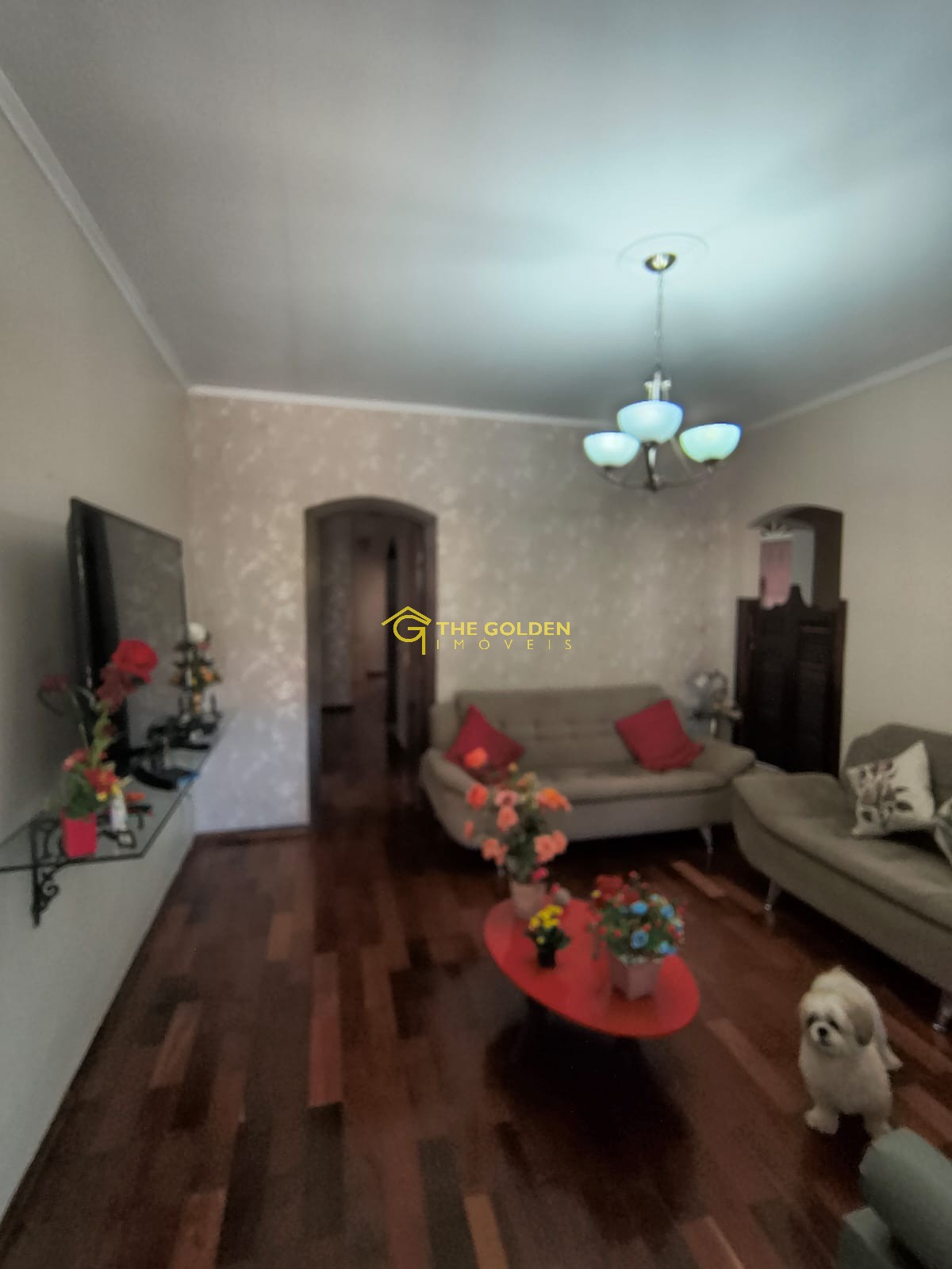 Casa, 3 quartos, 300 m² - Foto 5