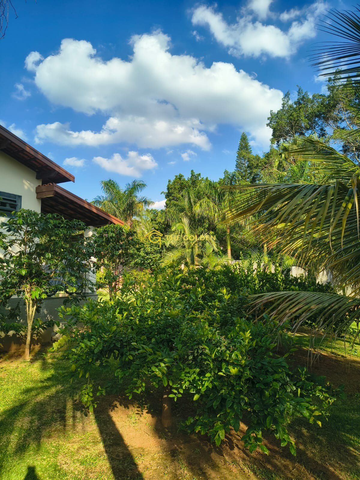 Prédio Inteiro, 5080 m² - Foto 40