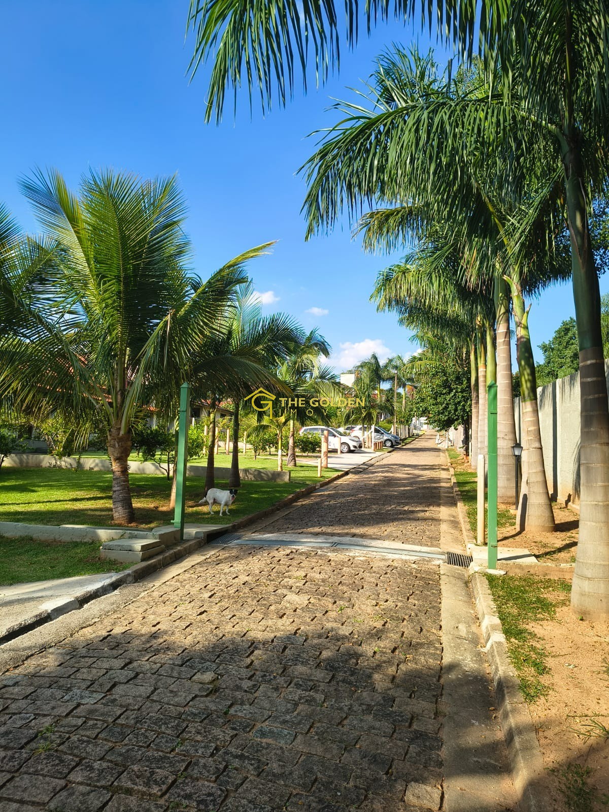 Prédio Inteiro, 5080 m² - Foto 44
