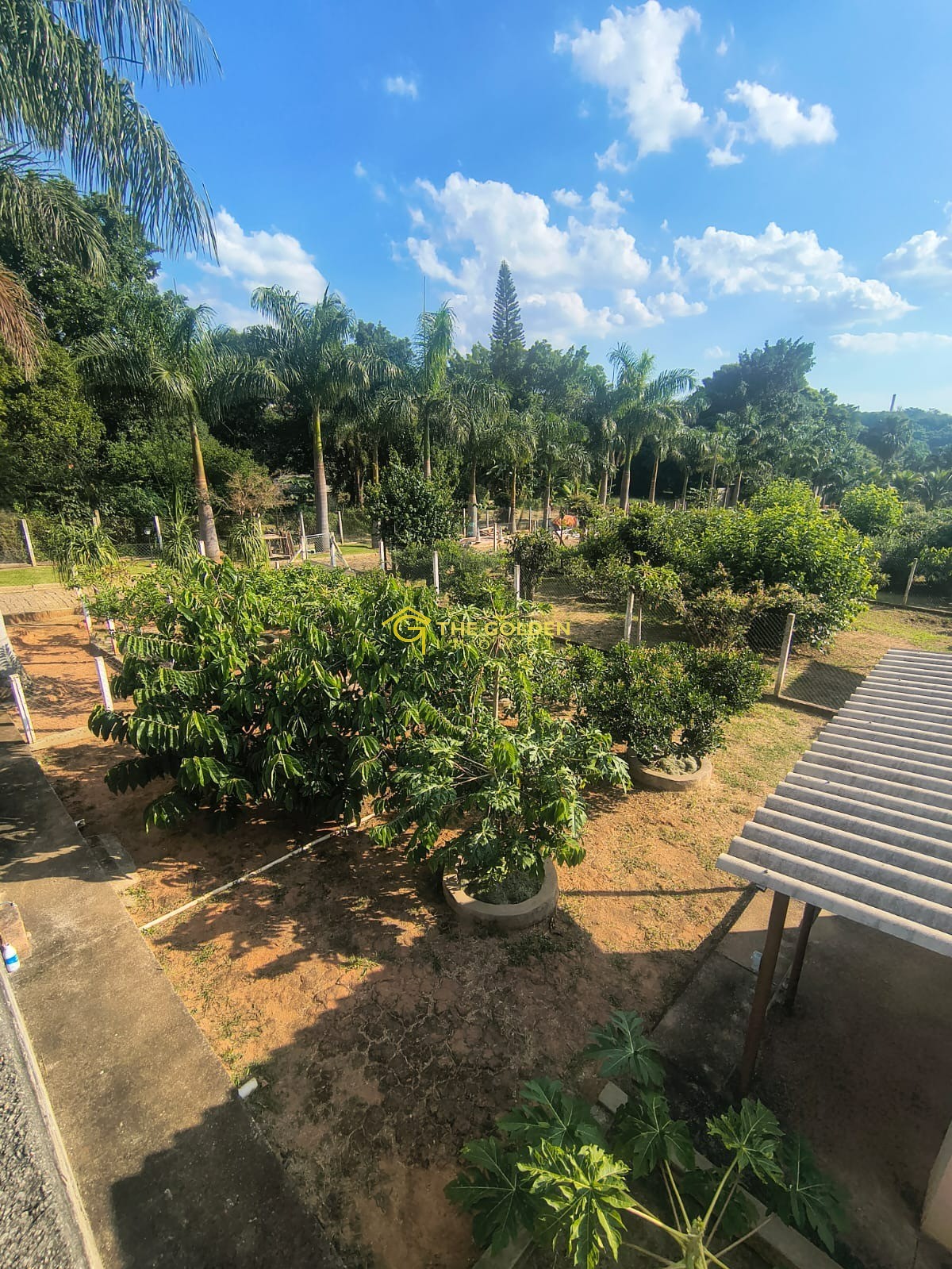 Prédio Inteiro, 5080 m² - Foto 29