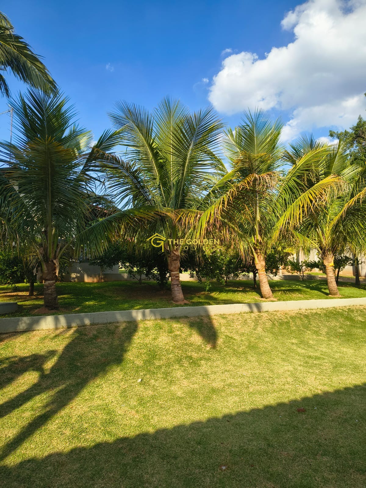 Prédio Inteiro, 5080 m² - Foto 42