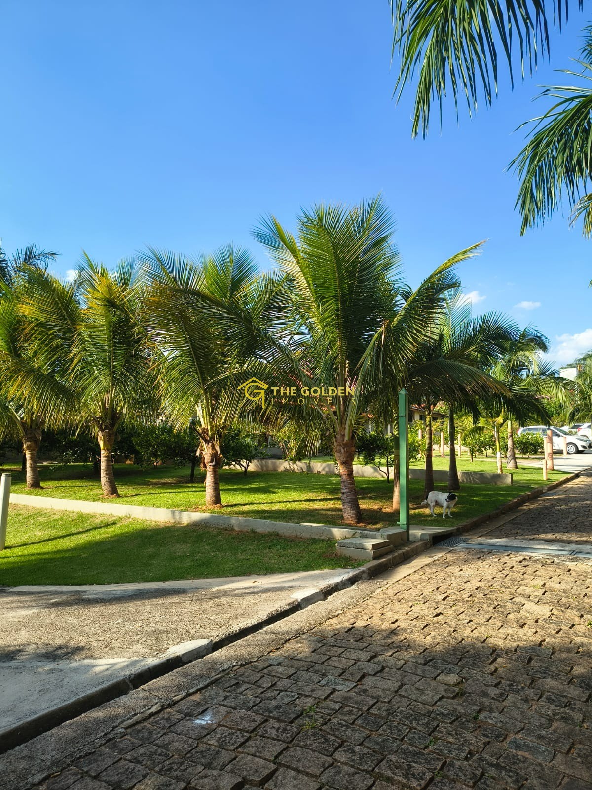 Prédio Inteiro, 5080 m² - Foto 43