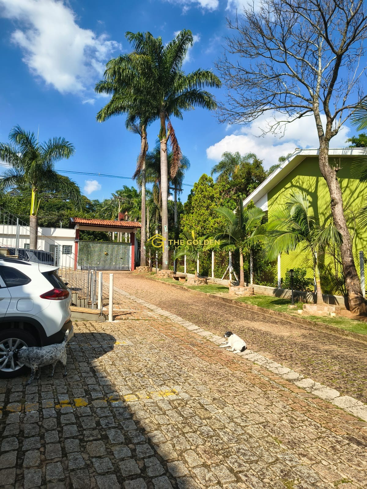 Prédio Inteiro, 5080 m² - Foto 13