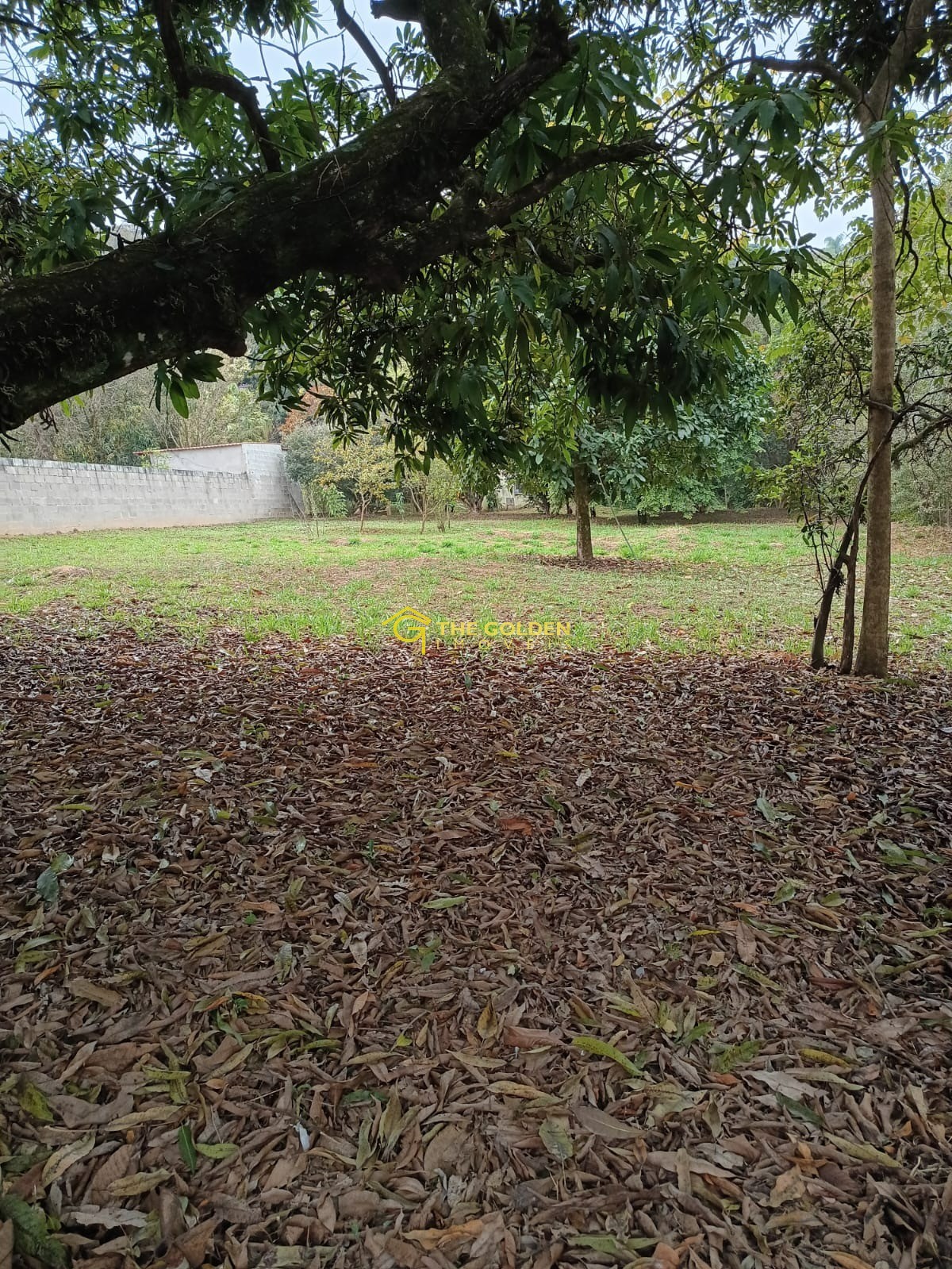 Terreno, 2000 m² - Foto 2