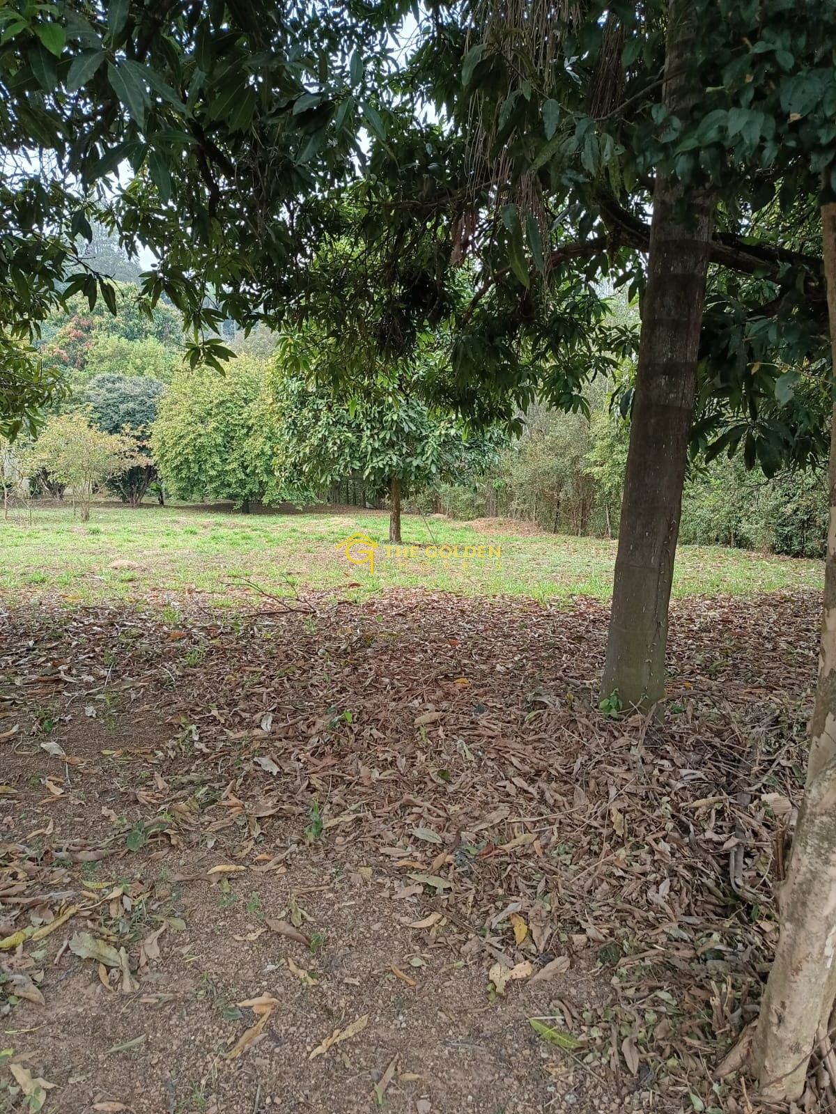 Terreno, 2000 m² - Foto 1