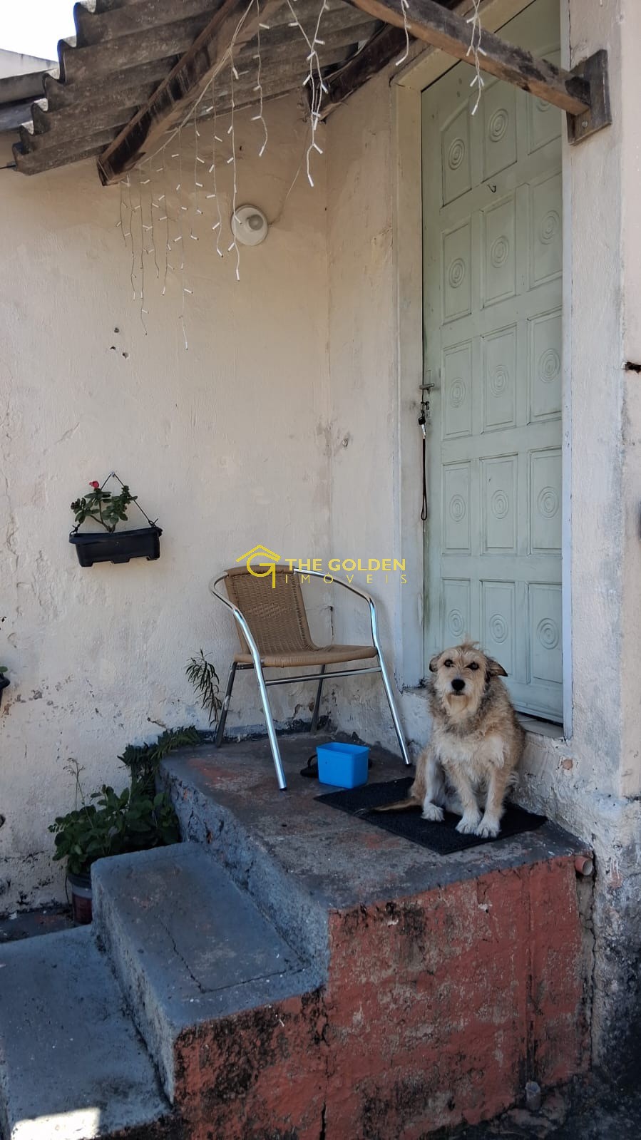 Casa, 4 quartos - Foto 50