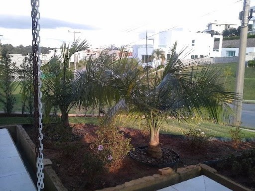 Casa, 4 quartos, 406 m² - Foto 65