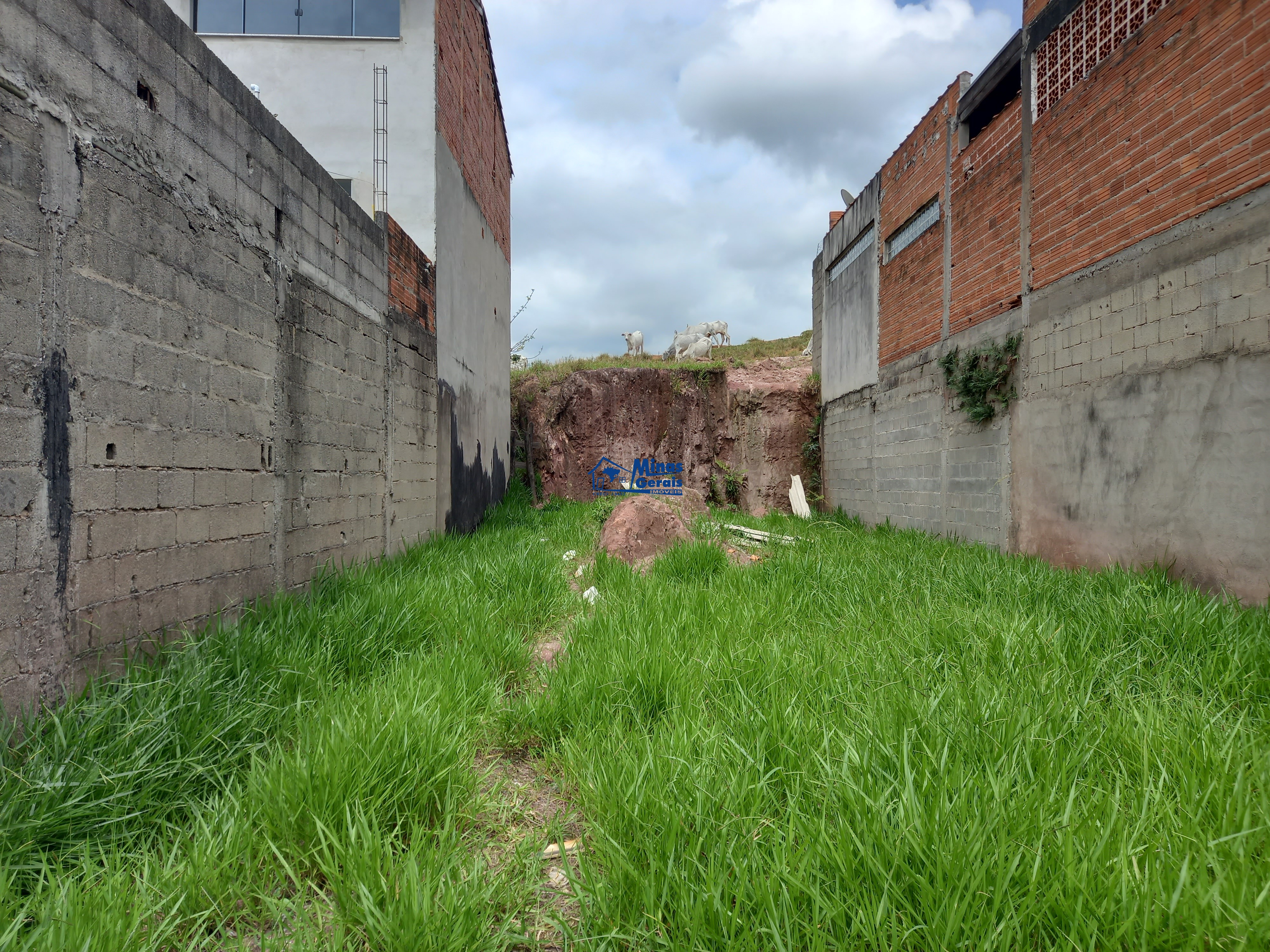 Terreno, 137 m² - Foto 6