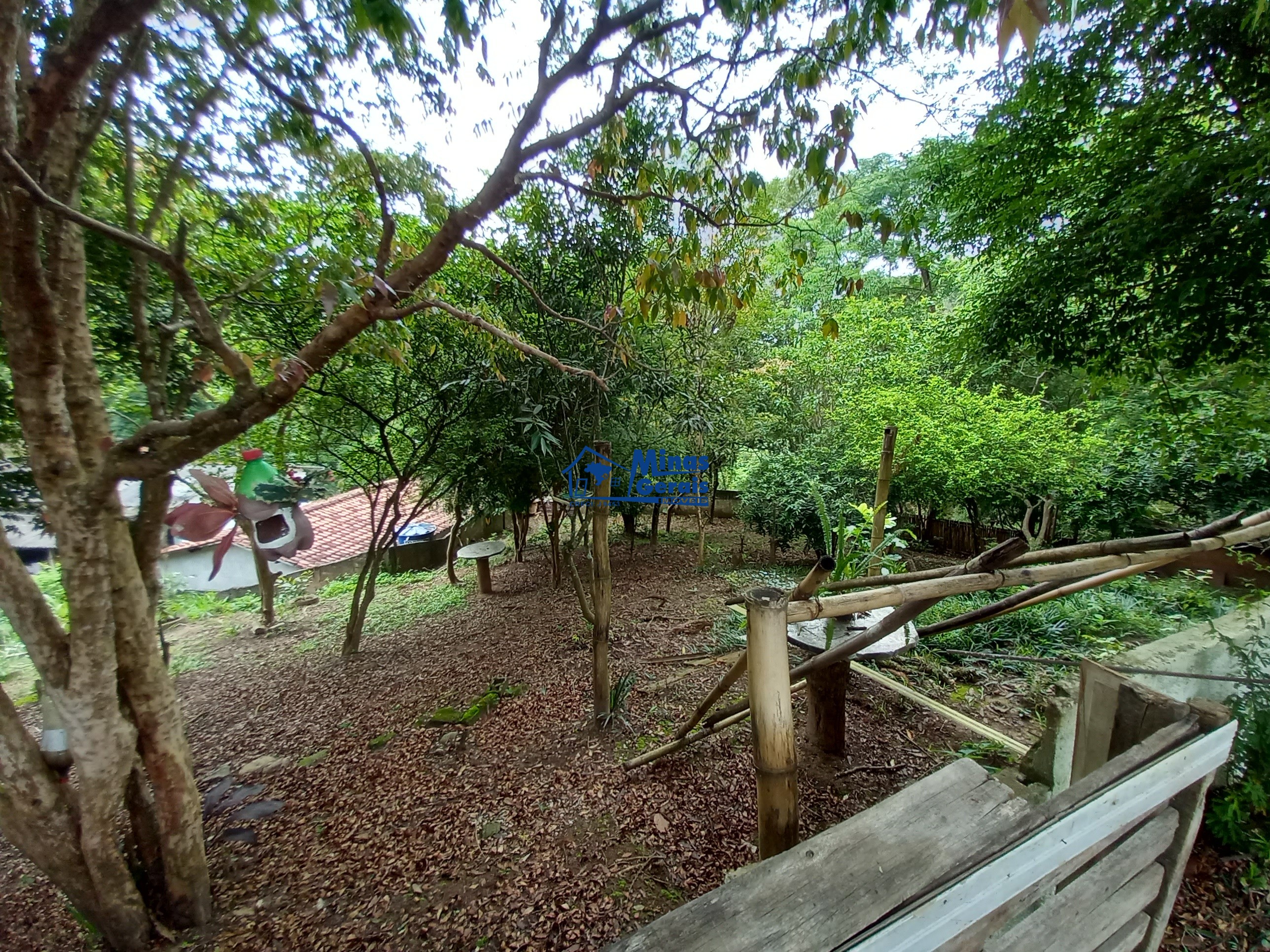 Sítio, 5 quartos, 3200 m² - Foto 10