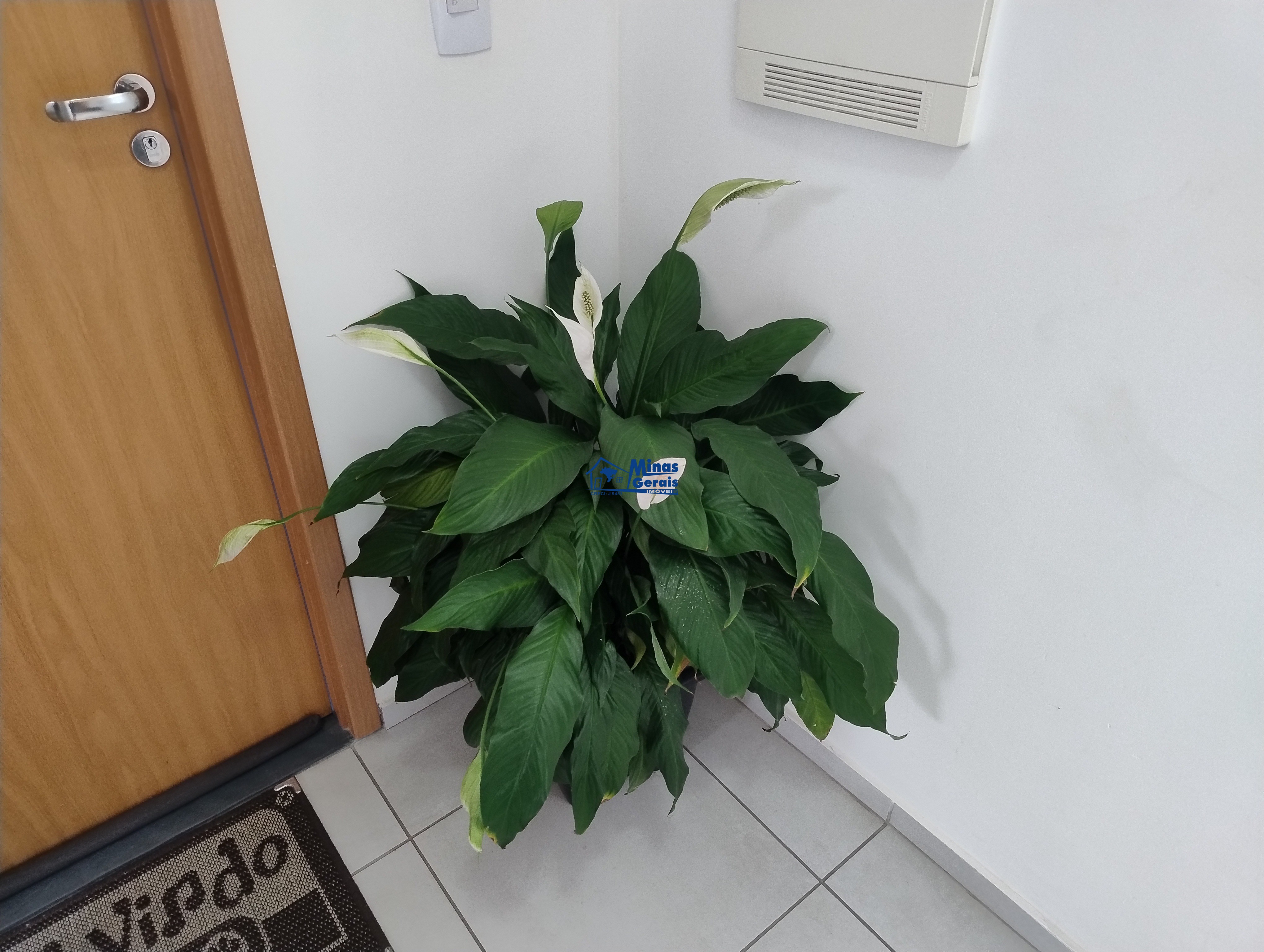 Apartamento, 2 quartos, 43 m² - Foto 2