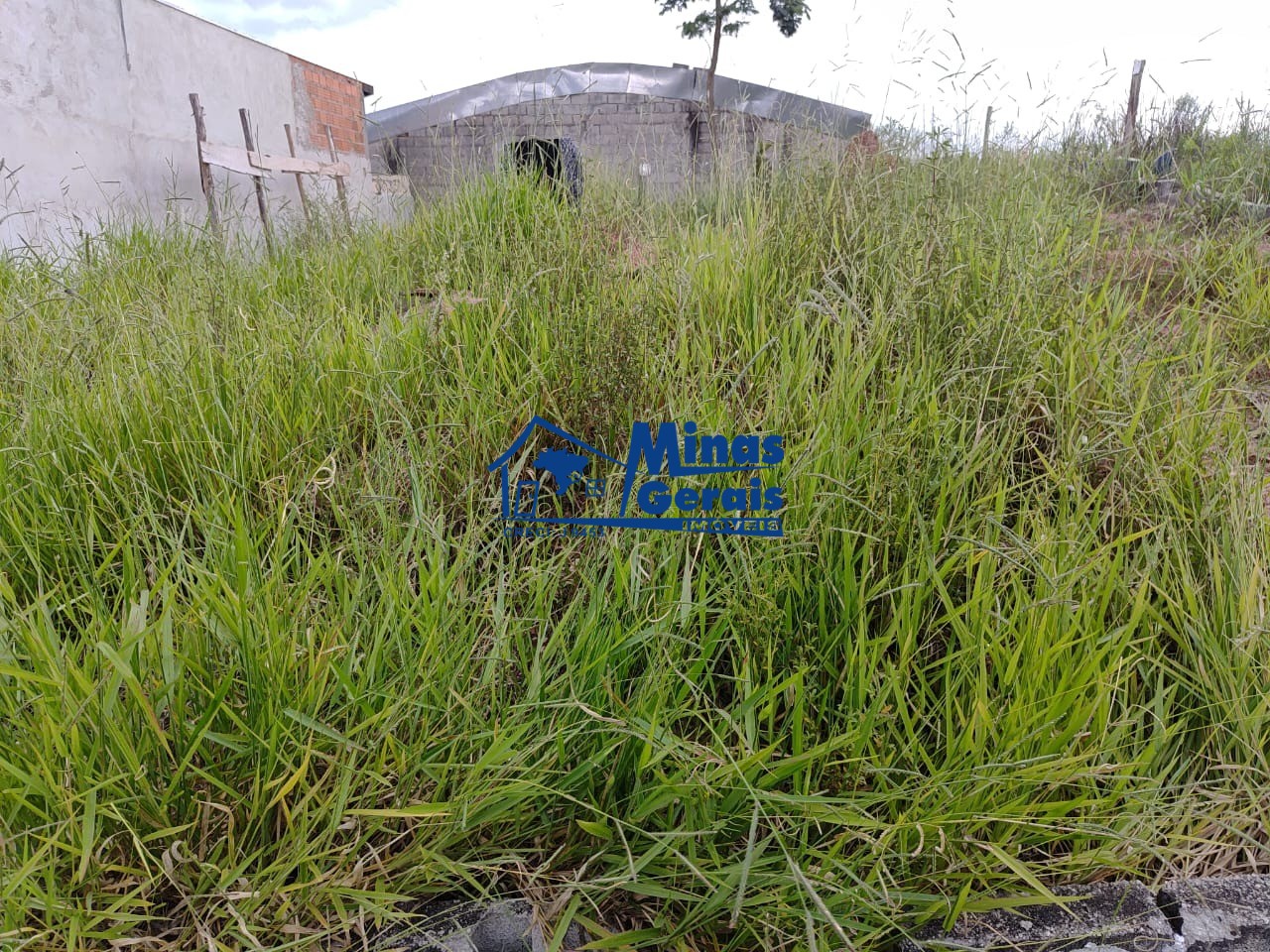 Terreno, 203 m² - Foto 2